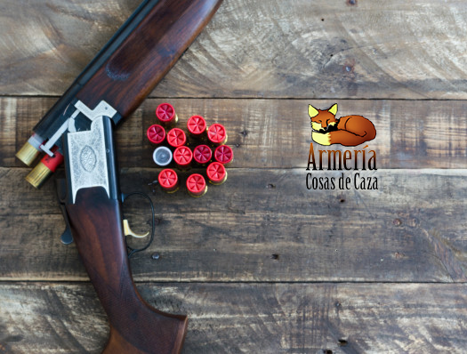 Blog del Armero
